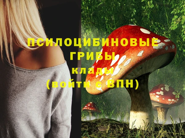 ешки Вязьма