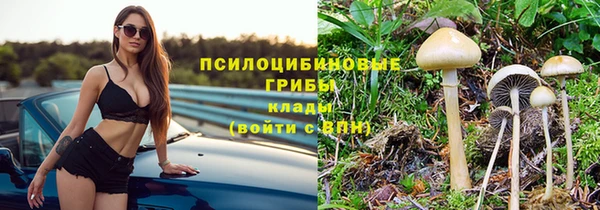 ешки Вязьма