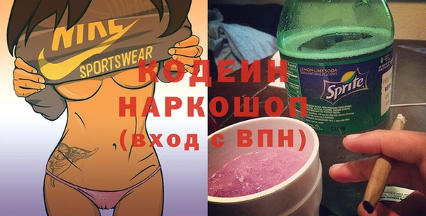 индика Каменногорск
