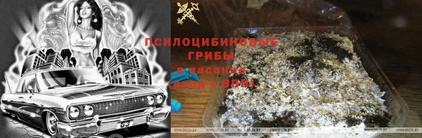 mdpv Володарск