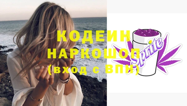 соль ск Вяземский