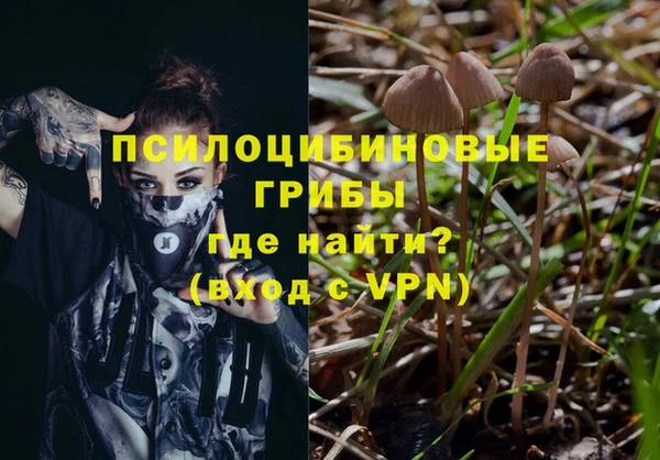 ешки Вязьма